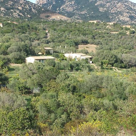 Agriturismo Agrisole Olbia Exterior photo