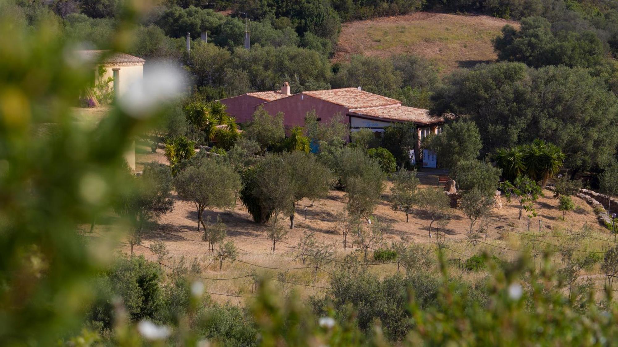 Agriturismo Agrisole Olbia Exterior photo