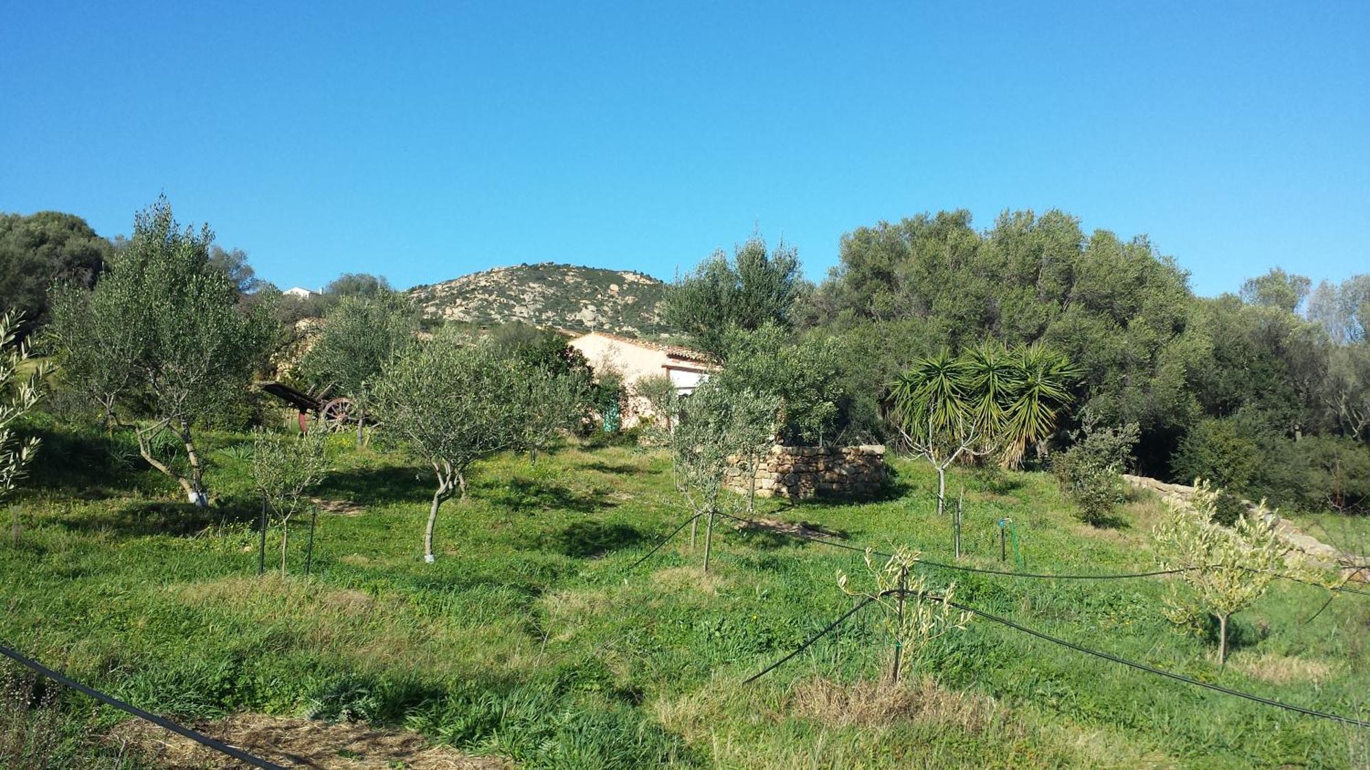 Agriturismo Agrisole Olbia Exterior photo