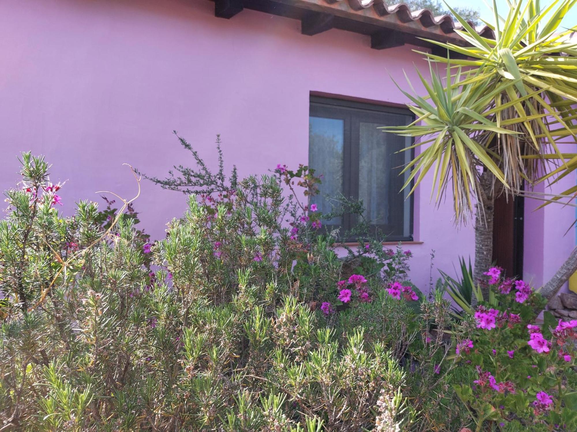 Agriturismo Agrisole Olbia Exterior photo